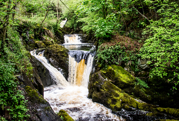 Cascade