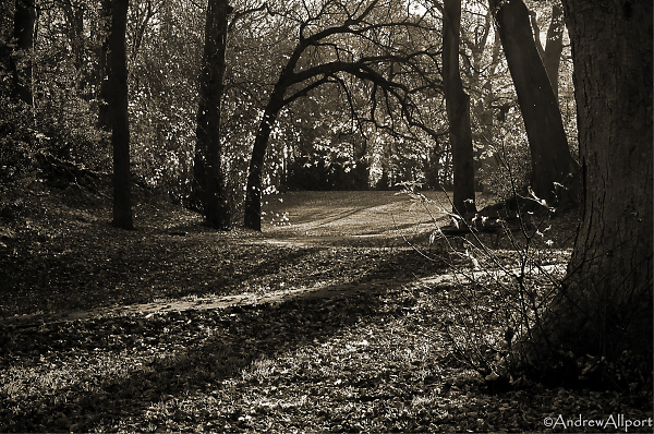 Chelsea Park