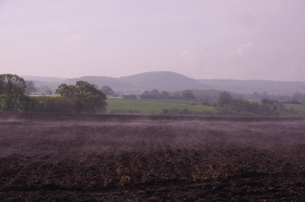 Cley Hill in the background,as the mist burns off the ground.