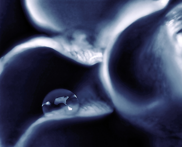 Dew Drop