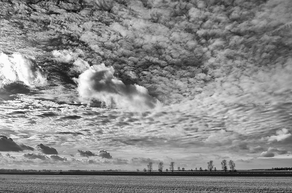 Dutch landcape (Eexterveen)