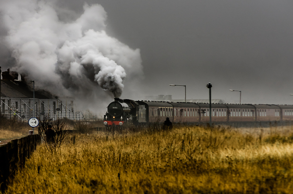 Full Head of Steam