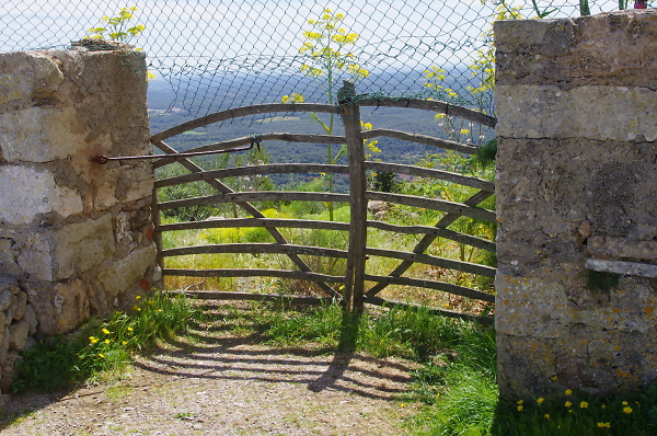 Gate
