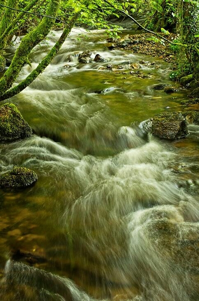 Glaze Brook