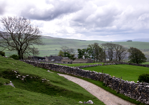 Hill farm above Ingleton