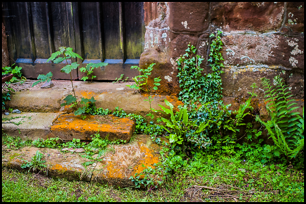 Little Used Doorway