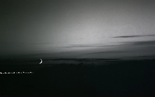 Moon Over Distant Night Tide......brings to me the magical garden of dreams.