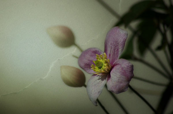 Opened