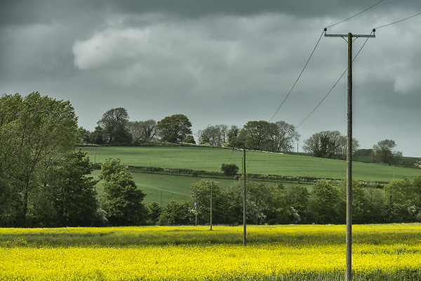 Telephone Line