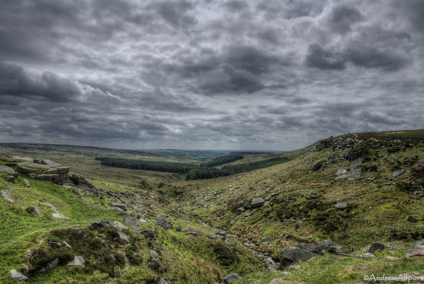 Towards Longshaw