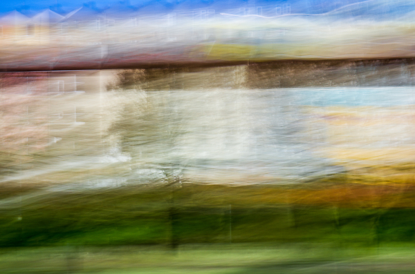 Tree II