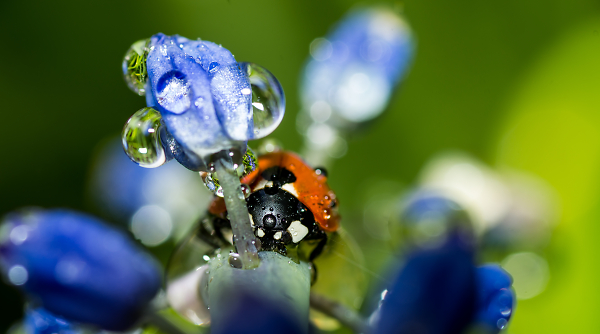 After rain