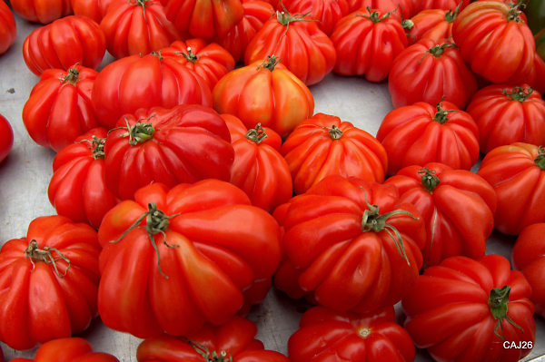Beef Tomatoes