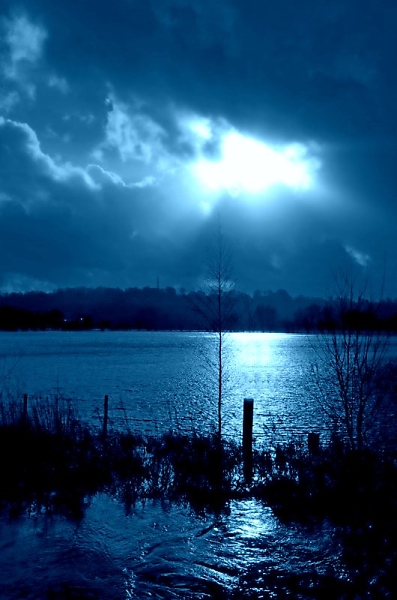 Blue in moonlight