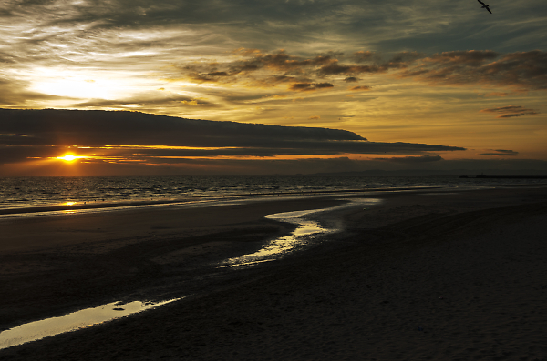 Ebb Tide and Sunset