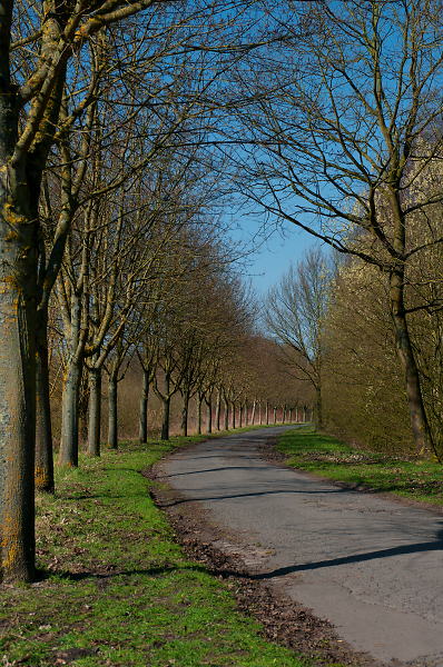 lane