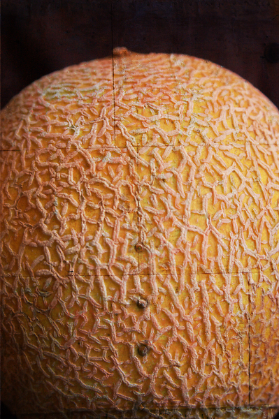 Melon