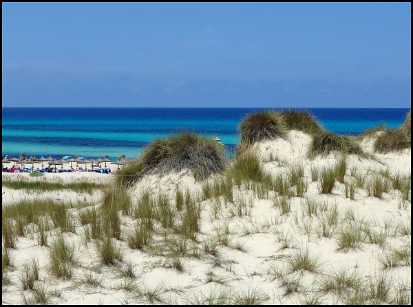 Sand Dunes at Cala Mesquida