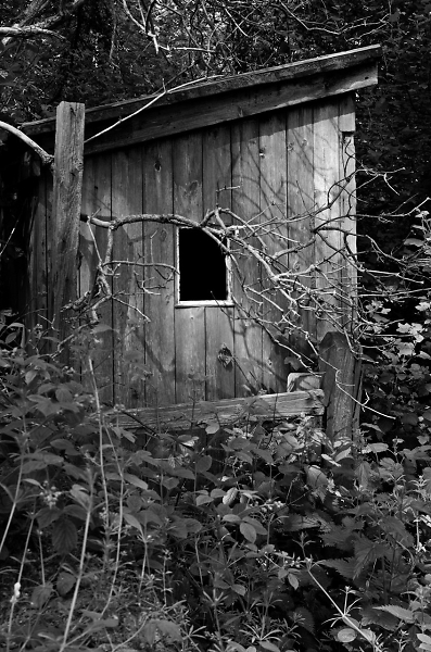 Shed