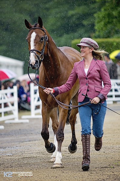 The First Horse Inspection In The Rain