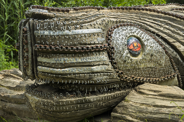 The Wooden Whale