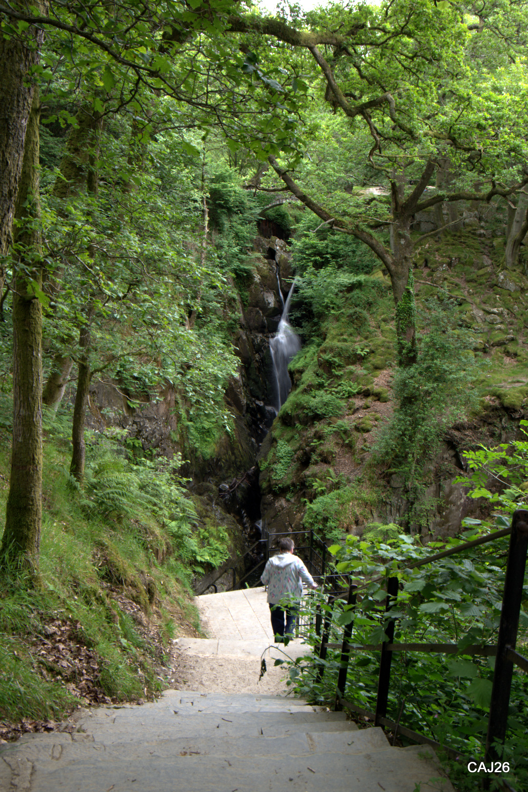 Aira Force Cumbria