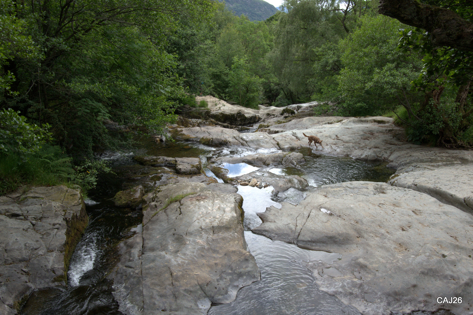 Flat stones