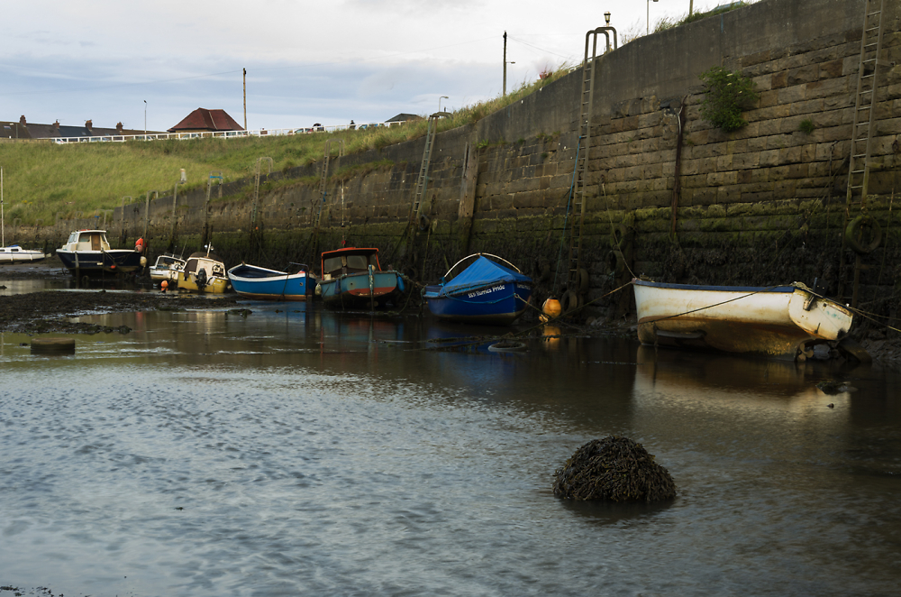 Seaton Sluice - Low Water