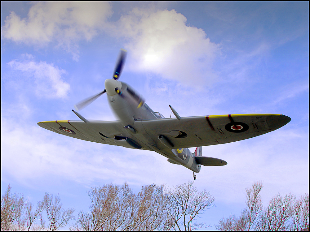 Spitfire