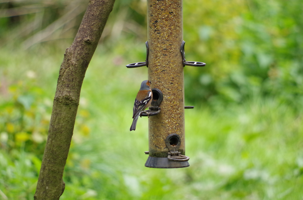 taken at egleton reserve rutland water