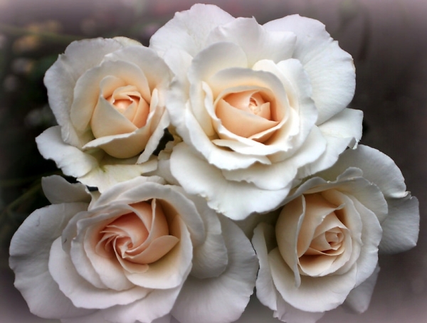 Bridal bouquet.