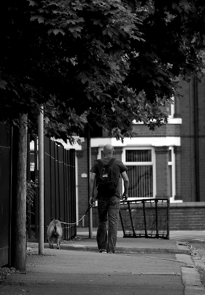 Day 32 Dog Walk