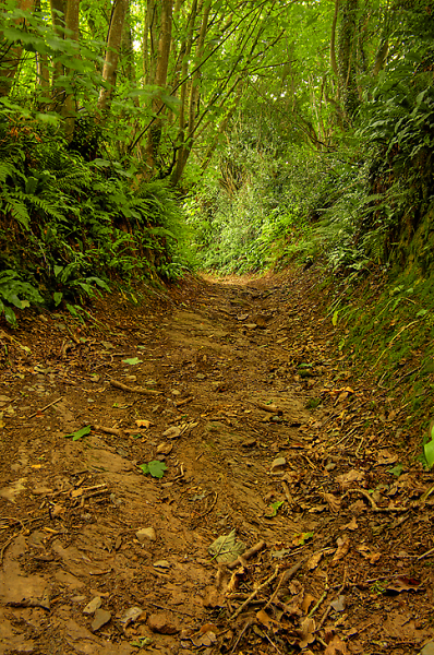 Hothill Lane