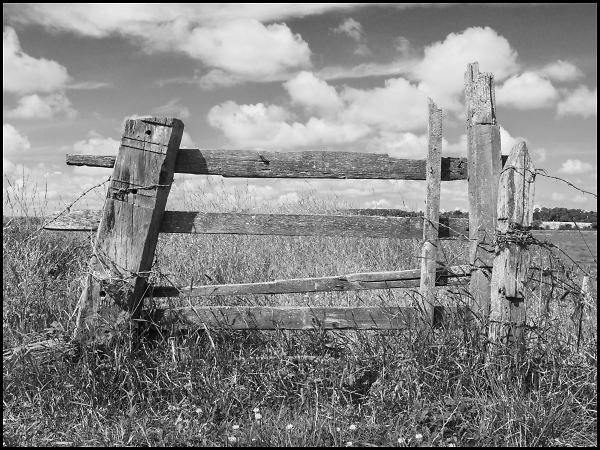 Rustic Fence