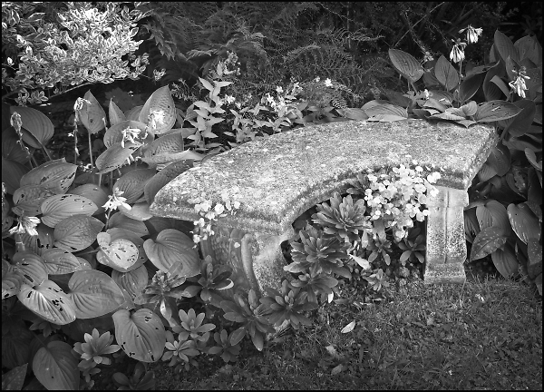 The Stone Bench