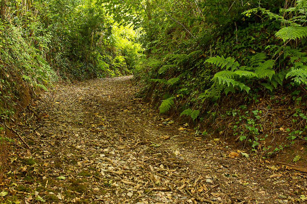 Fishchowters' Lane