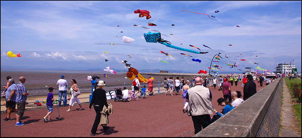 Catch the Wind