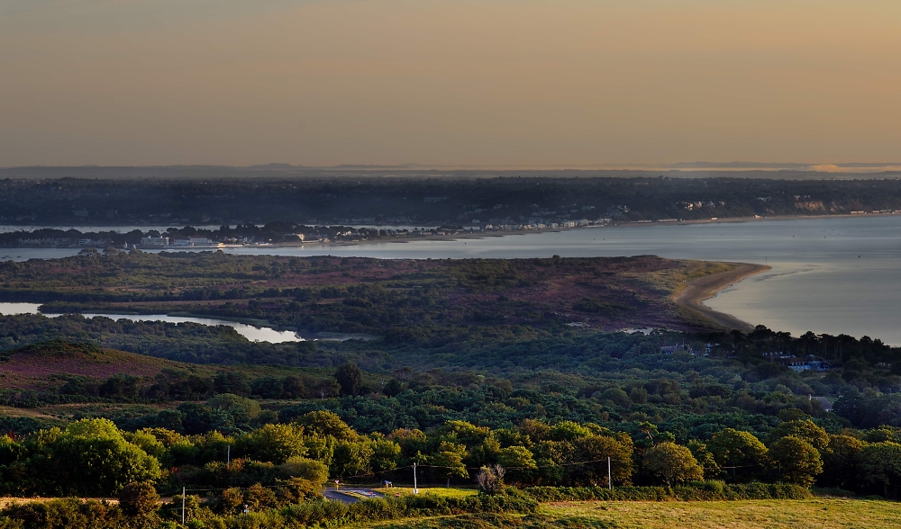 Poole Harbour from Purbeck Hills