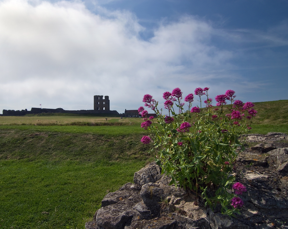 The Castle in Perspective