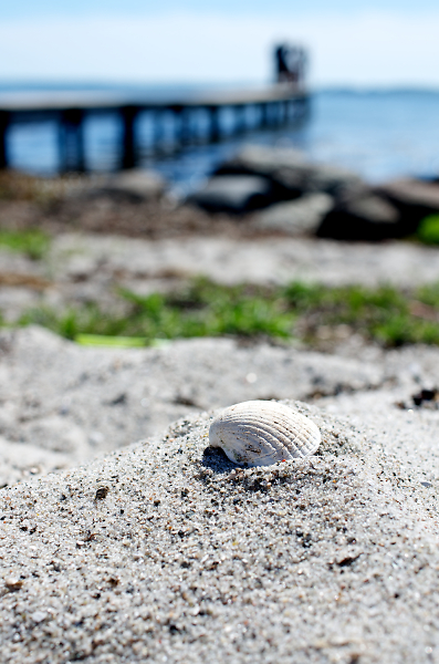A day at the beach!
