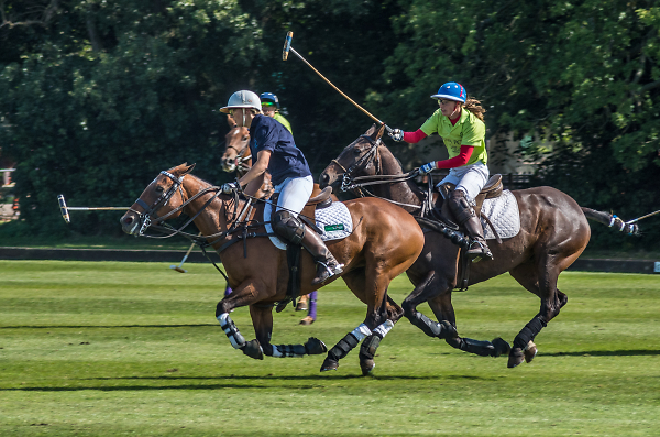 Ascot Park Polo Club - UK Women's Nationals