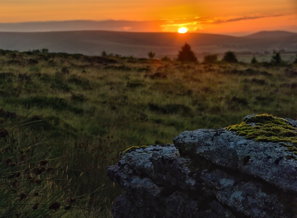 First Light At Bellever
