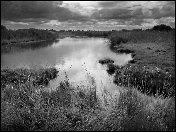 Flooded Clay Pit by the Huntspill