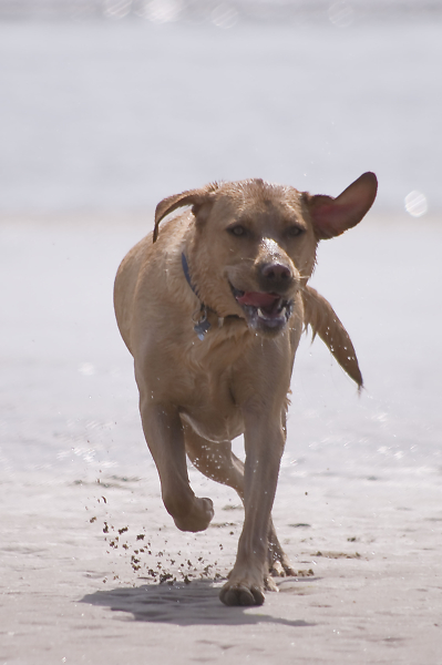 On the beach