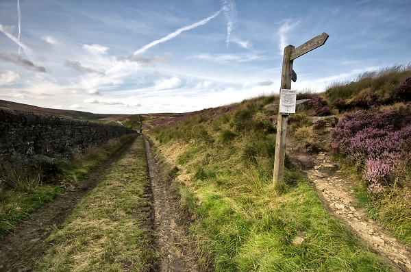 Pennine Way on the Bronte Moors