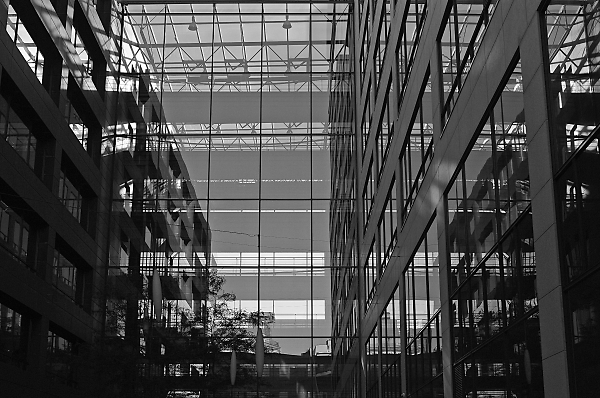 illusion of reflects