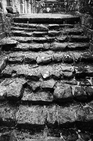 Steps
