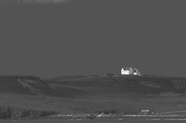 The House