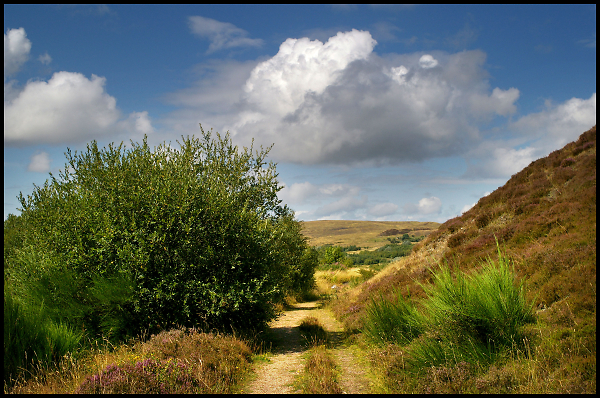 Track though the Welsh Hills