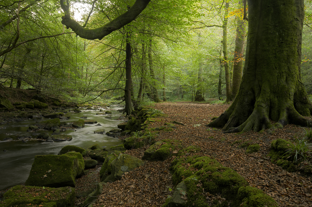 Hardcastle Crags